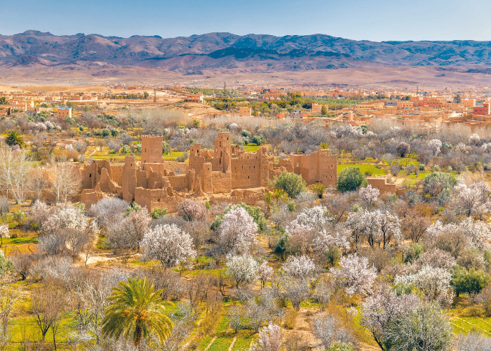 FES, MARRAKECH Y EL DESIERTO VIA EL ATLAS RUTA DE 3 DÍAS / 2 NOCHES