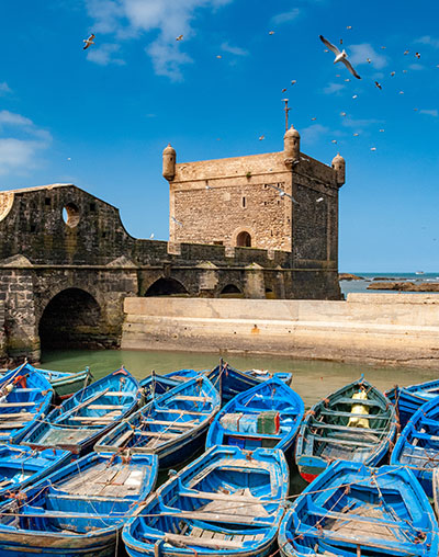 Excursión de un día de Marrakech a Essaouira